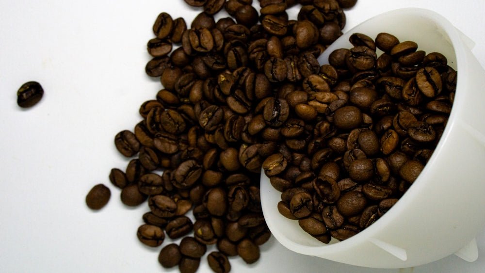 a white cup filled with coffee beans on top of a table
