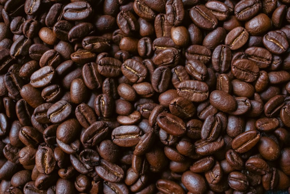 Roasted coffee beans fill the frame.